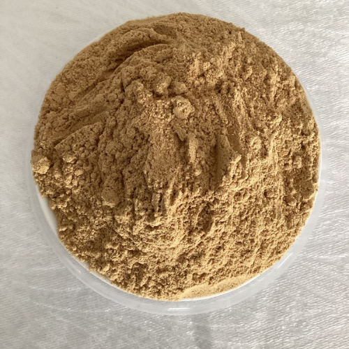 GINGER POWDER